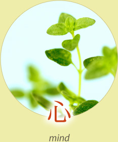 心 mind