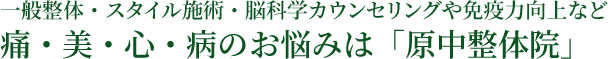 一般整体・スタイル施術・脳科学カウンセリングや免疫力向上など　病・痛・心・美のお悩みは「原中整体院」